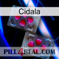 Cidala 15